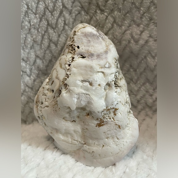 Jane Shasky Watercolor Blueberries Decorative Oyster Shell Rare! - Picture 3 of 4